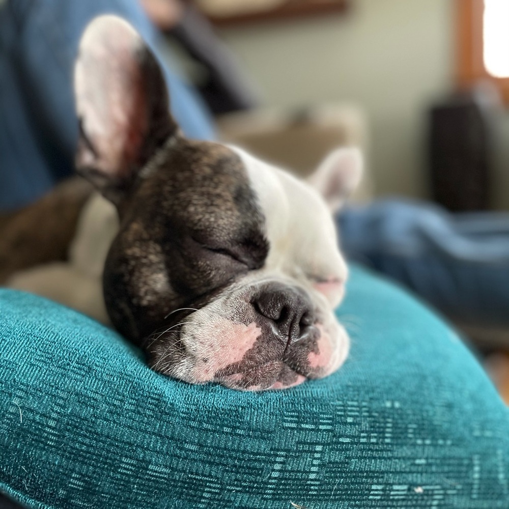 Meet your Posher, Gretchen